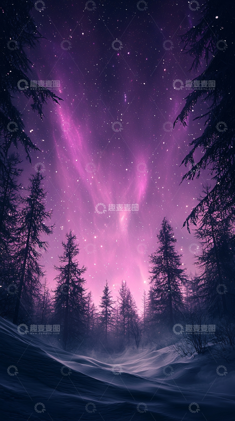 高清大图下载【趣麦麦图】极光下的雪林夜景