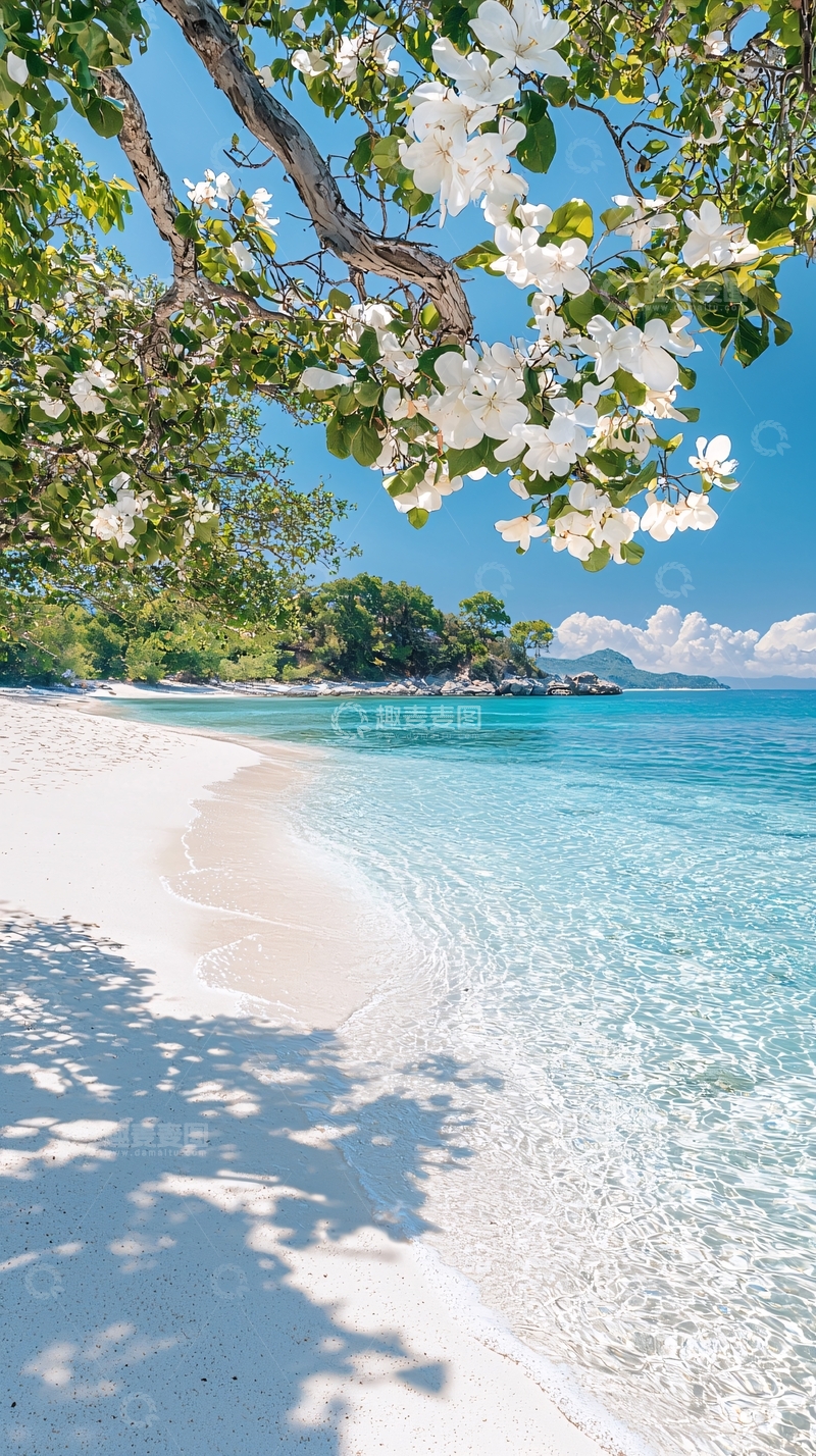 高清大图下载【趣麦麦图】海滩上的白色花朵与清澈海水