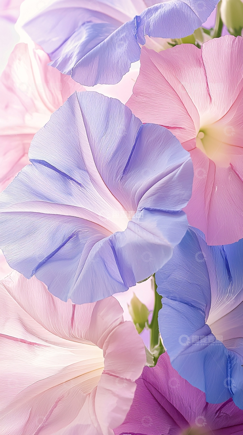 高清大图下载【趣麦麦图】梦幻紫色花朵背景图