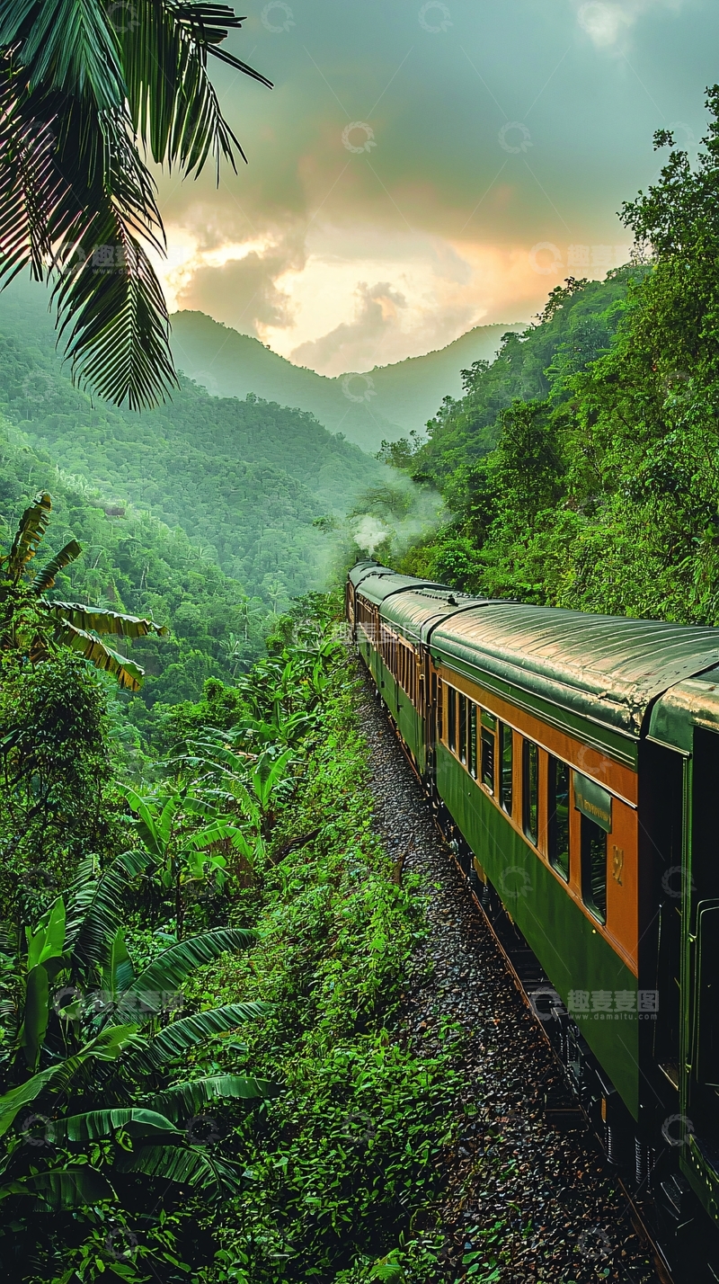 高清大图下载【趣麦麦图】热带雨林中的蒸汽火车