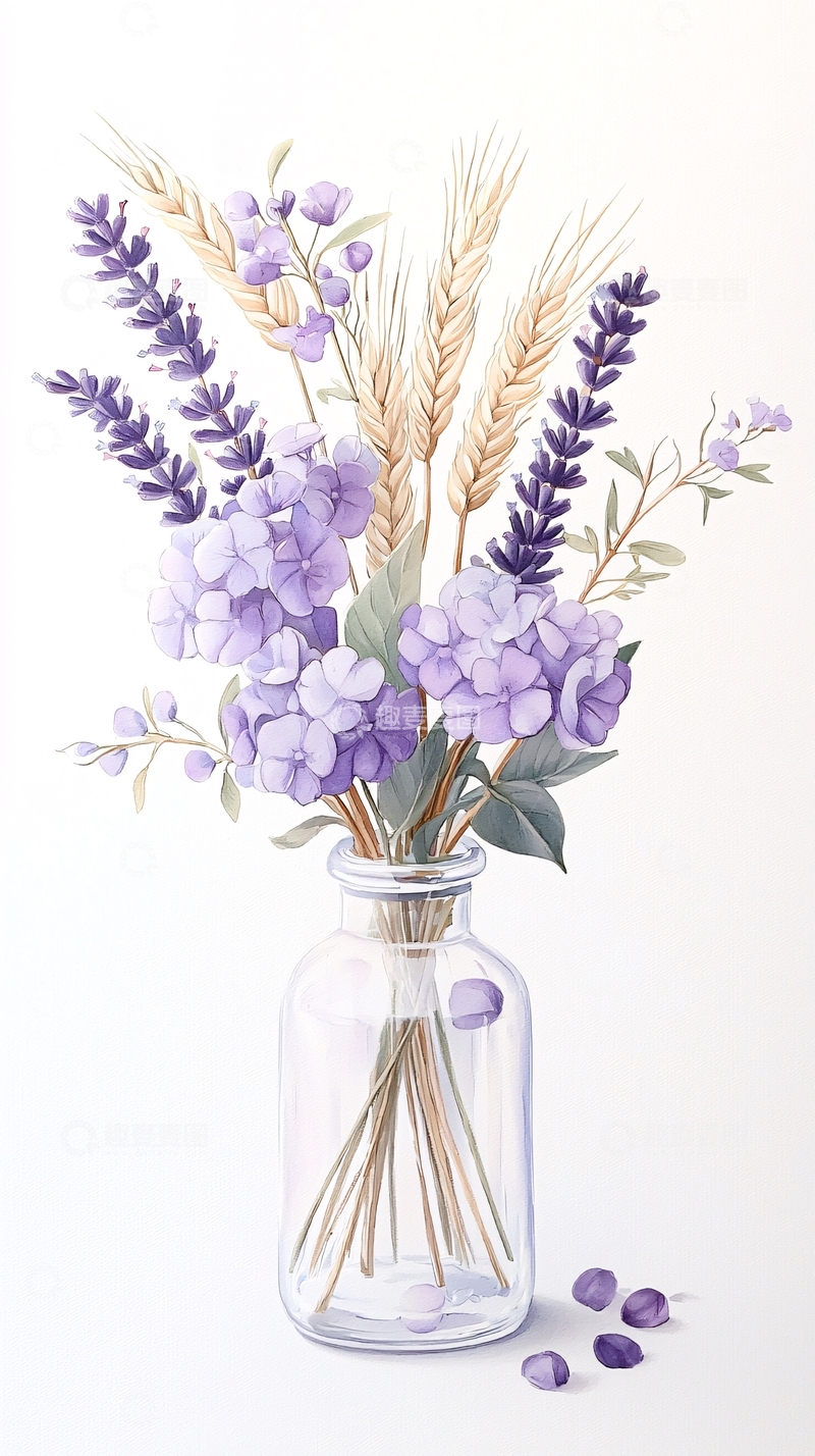 高清大图下载【趣麦麦图】紫色薰衣草与麦穗玻璃瓶插画
