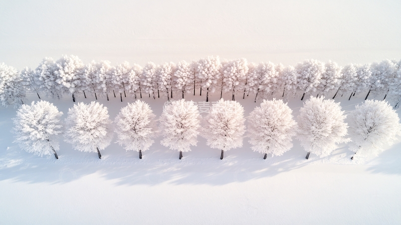 高清大图下载【趣麦麦图】冬季树木模型