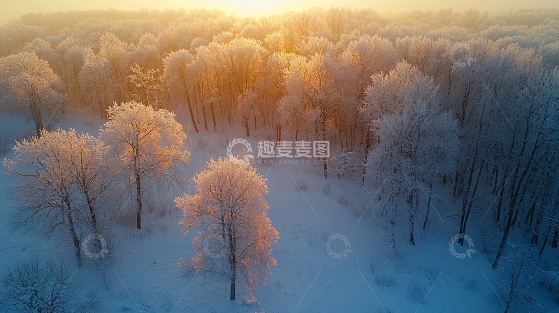 高清大图下载【趣麦麦图】冬日清晨的冰雪森林