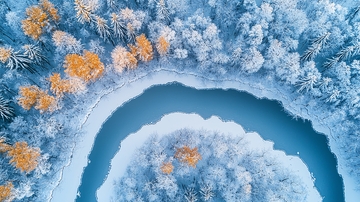 冬季森林的冰蓝色河流