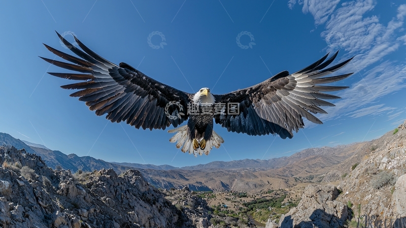 高清大图下载【趣麦麦图】翱翔的老鹰与壮丽山景