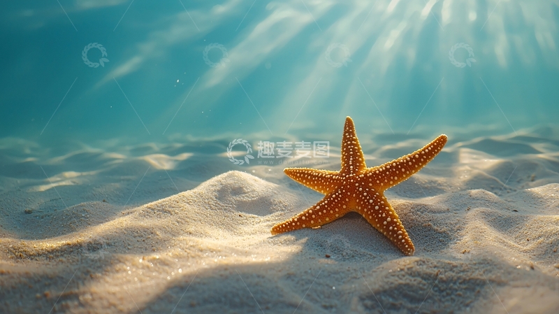 高清大图下载【趣麦麦图】海底沙滩上的海星