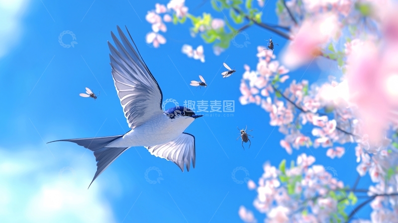 高清大图下载【趣麦麦图】春天飞翔的小鸟与昆虫