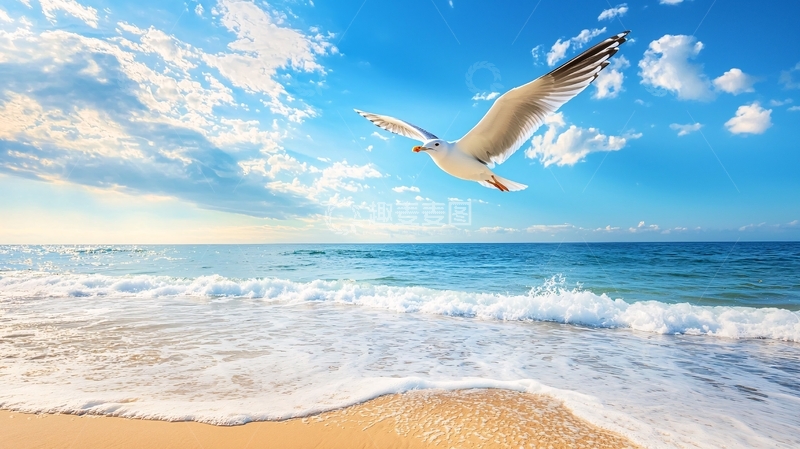 高清大图下载【趣麦麦图】海滩海鸥飞翔风景素材