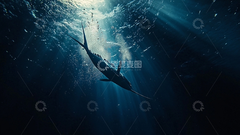 高清大图下载【趣麦麦图】深海鱼群光影效果
