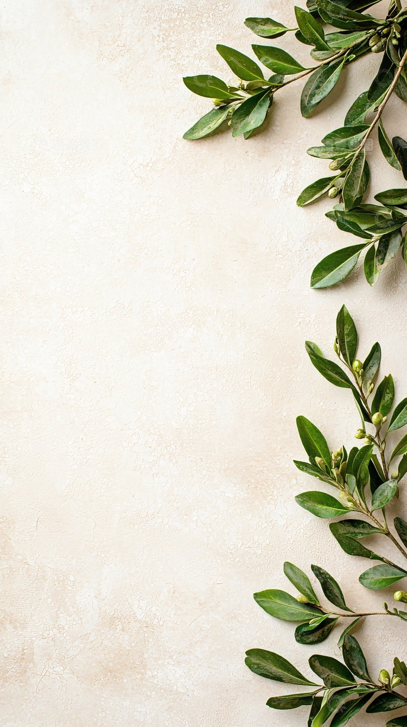 高清大图下载【趣麦麦图】橄榄枝边框背景素材