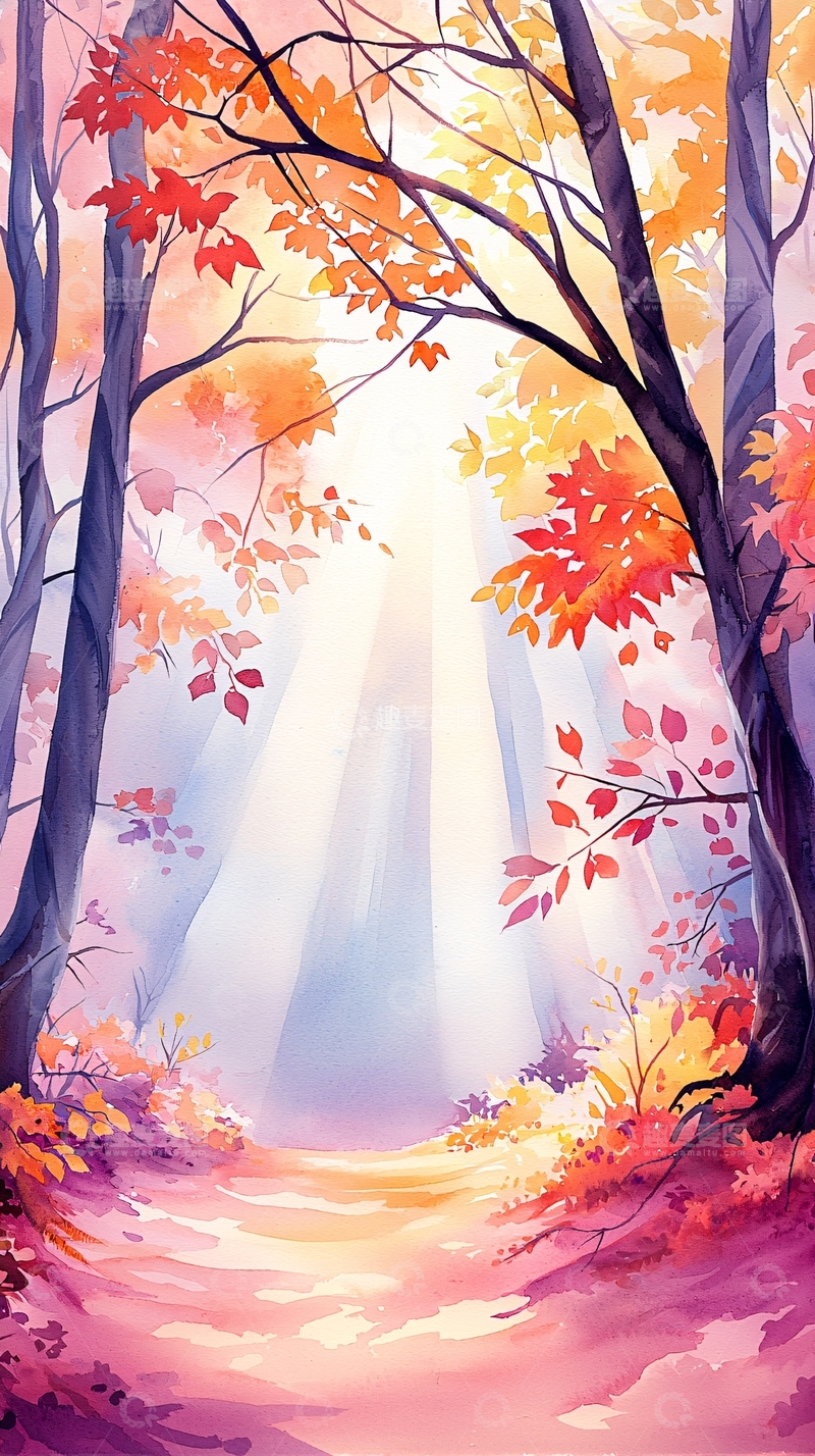 高清大图下载【趣麦麦图】秋日森林光影之美