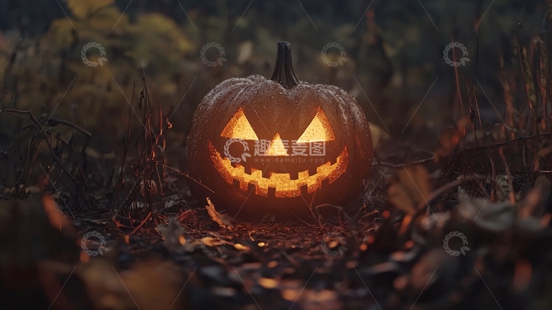 高清大图下载【趣麦麦图】万圣节南瓜灯夜景