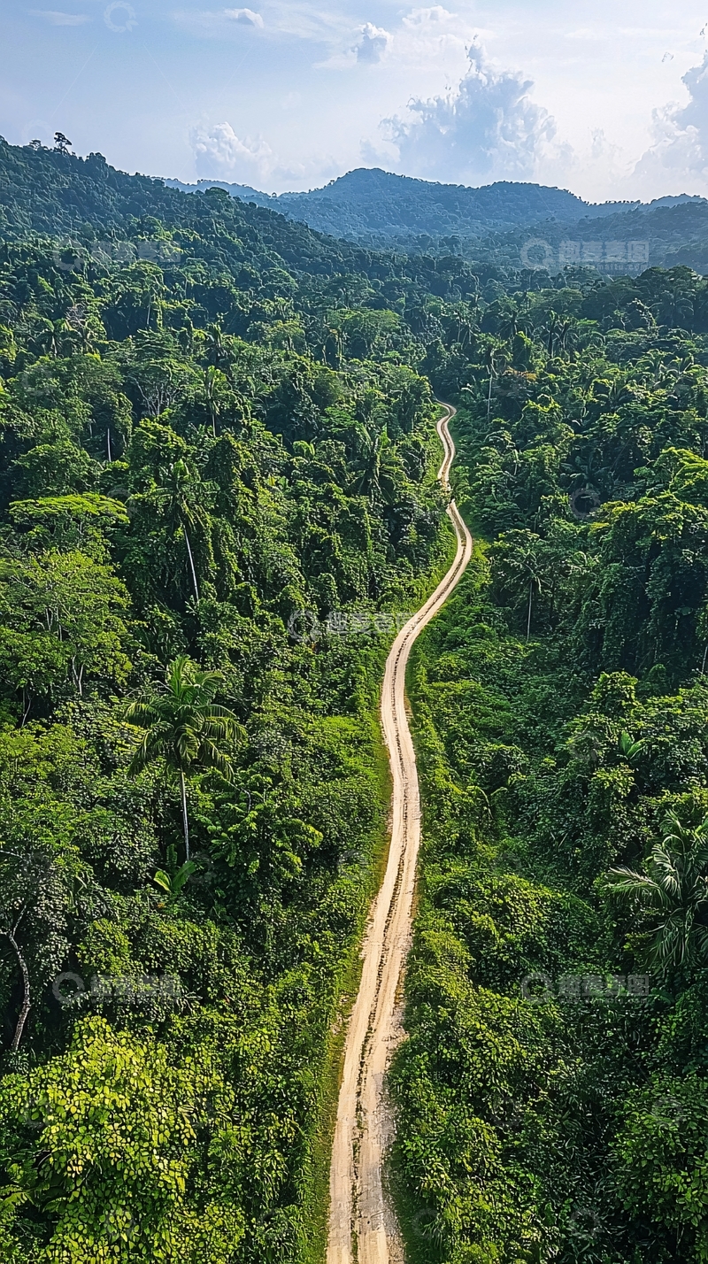 高清大图下载【趣麦麦图】丛林深处的隐秘公路航拍