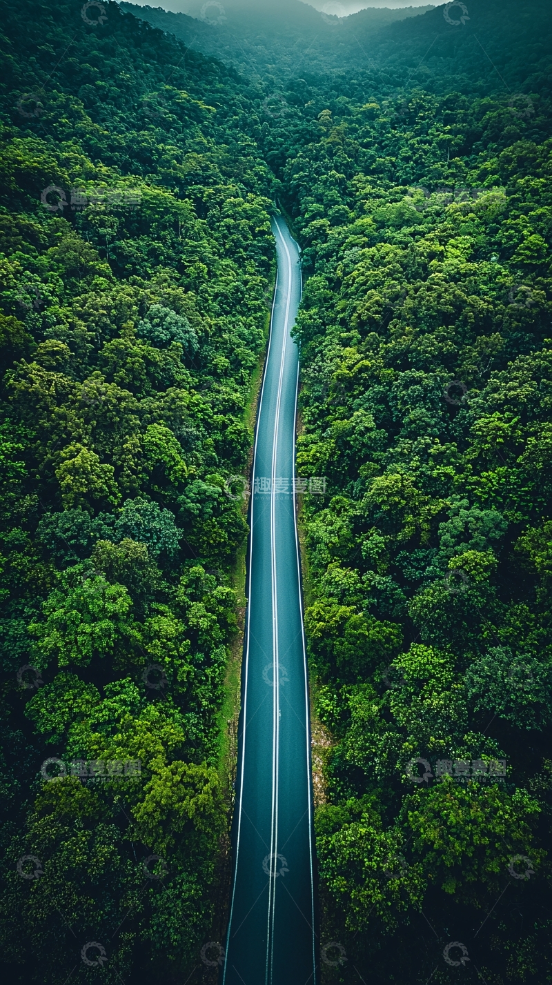 高清大图下载【趣麦麦图】笔直森林中的公路航拍