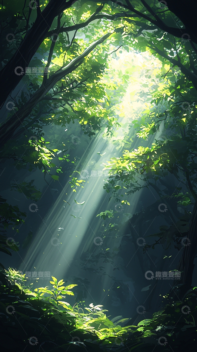 高清大图下载【趣麦麦图】森林中的阳光穿透树叶