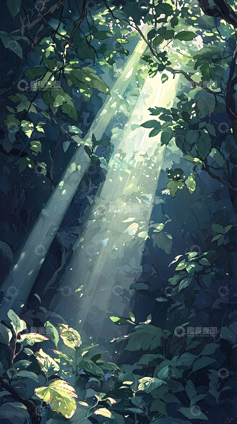 高清大图下载【趣麦麦图】森林中的阳光穿透树叶