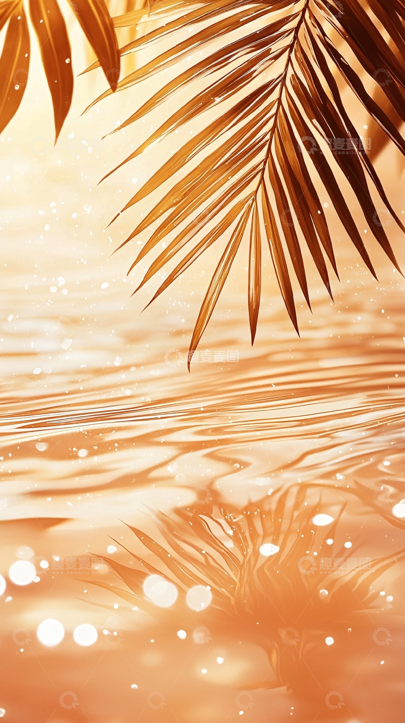 高清大图下载【趣麦麦图】夏日海滩棕榈树光影