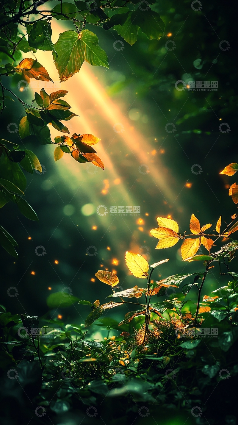 高清大图下载【趣麦麦图】阳光穿透森林树叶