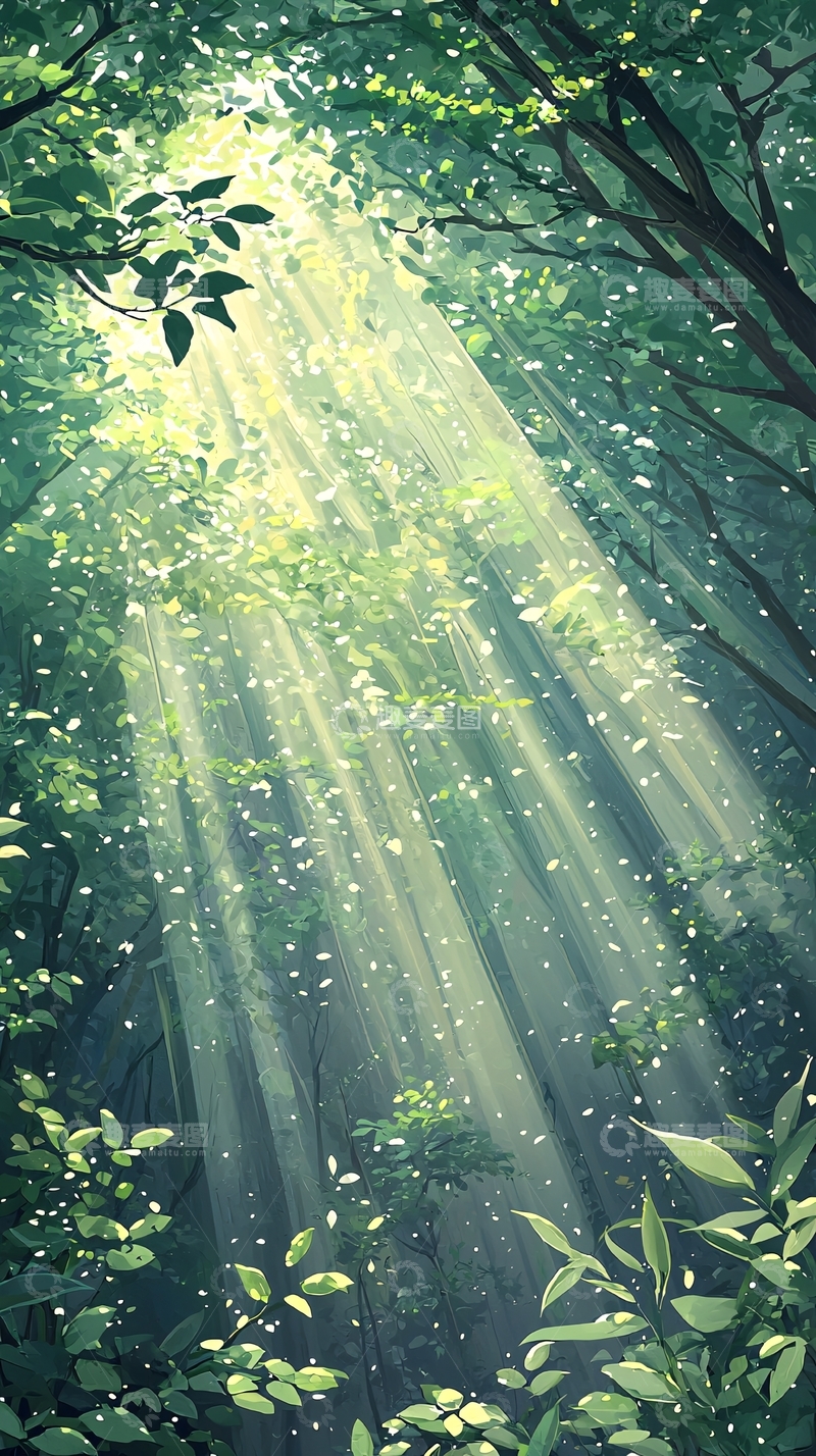 高清大图下载【趣麦麦图】森林中的阳光穿透树叶