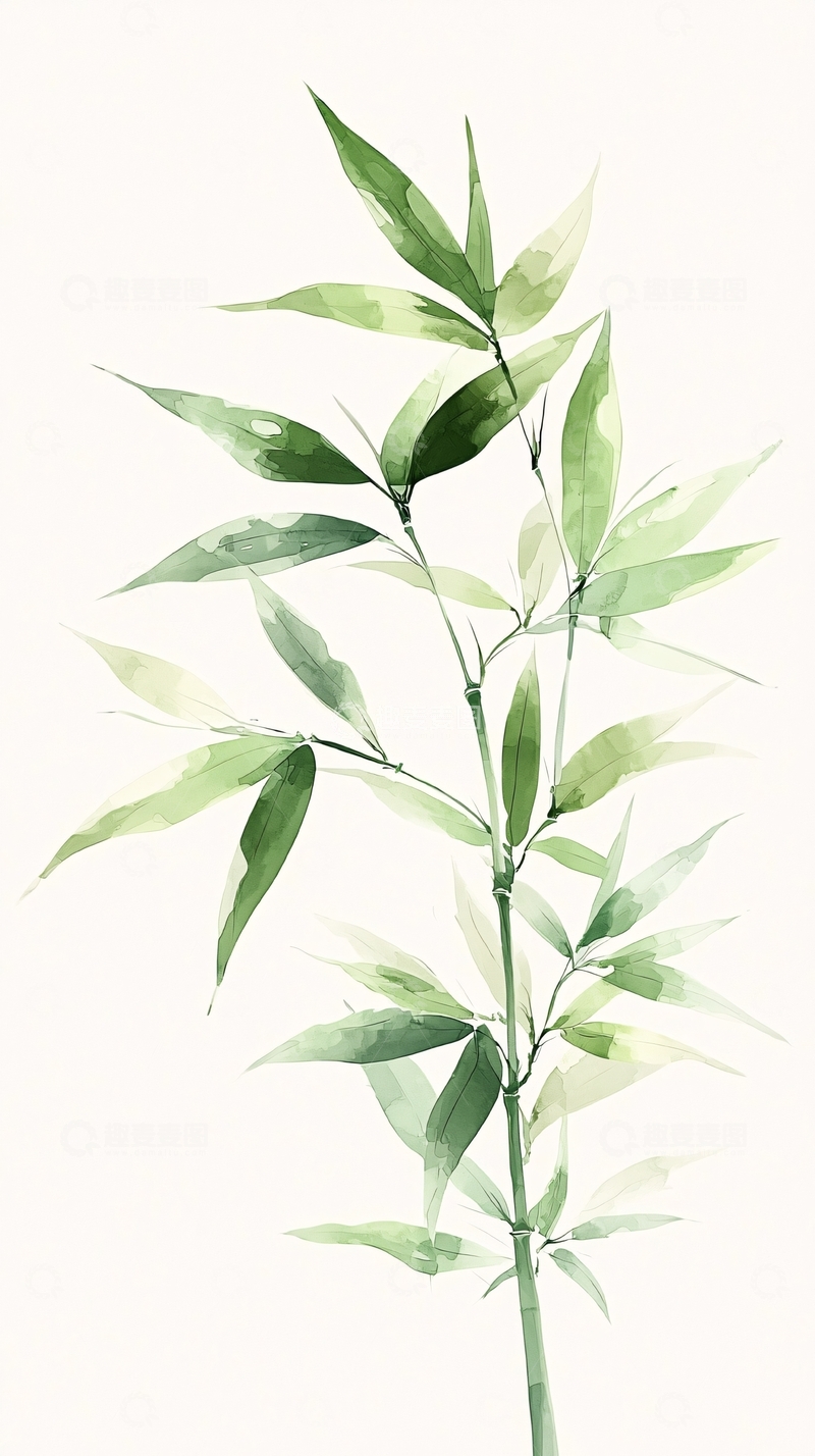 高清大图下载【趣麦麦图】竹子植物手绘插画素材