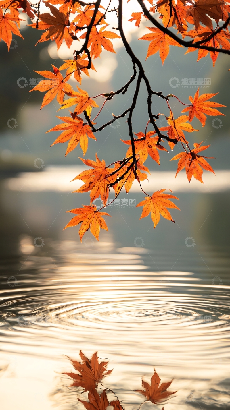 高清大图下载【趣麦麦图】秋日湖畔红叶倒影