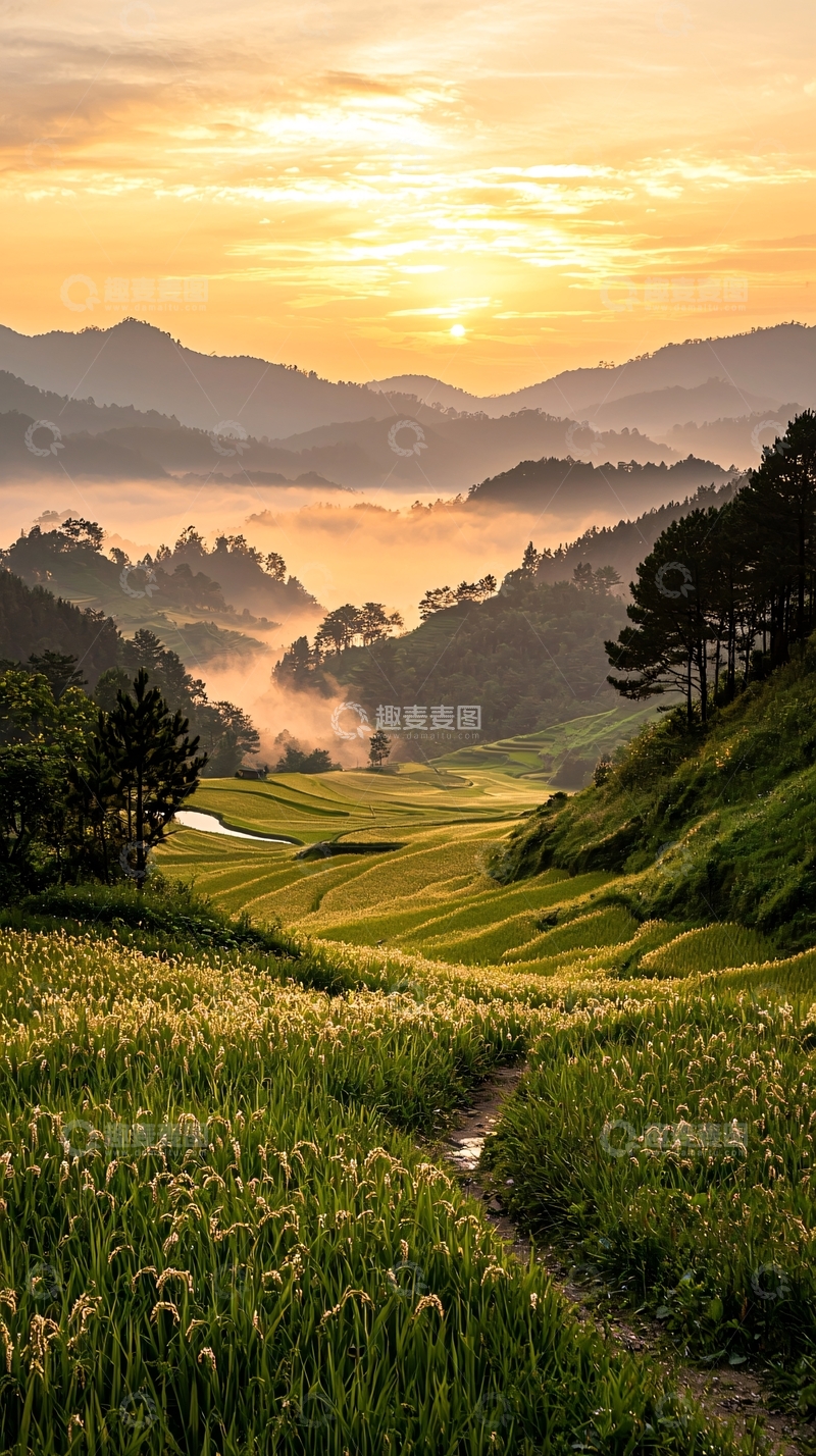 高清大图下载【趣麦麦图】梯田日出风景
