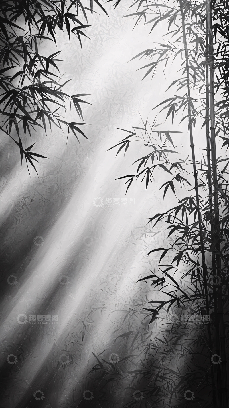 高清大图下载【趣麦麦图】竹林光影自然风景