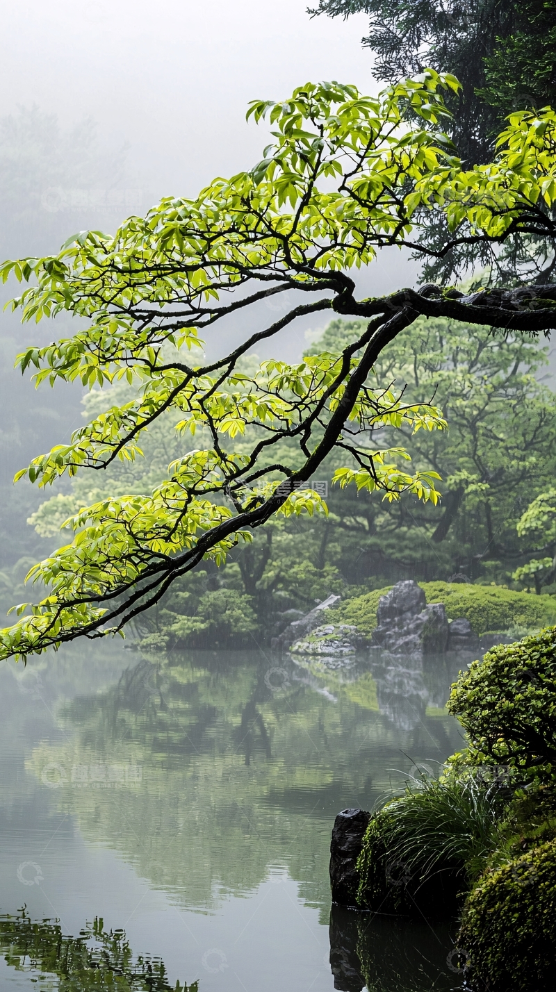 高清大图下载【趣麦麦图】雨后湖畔绿意盎然