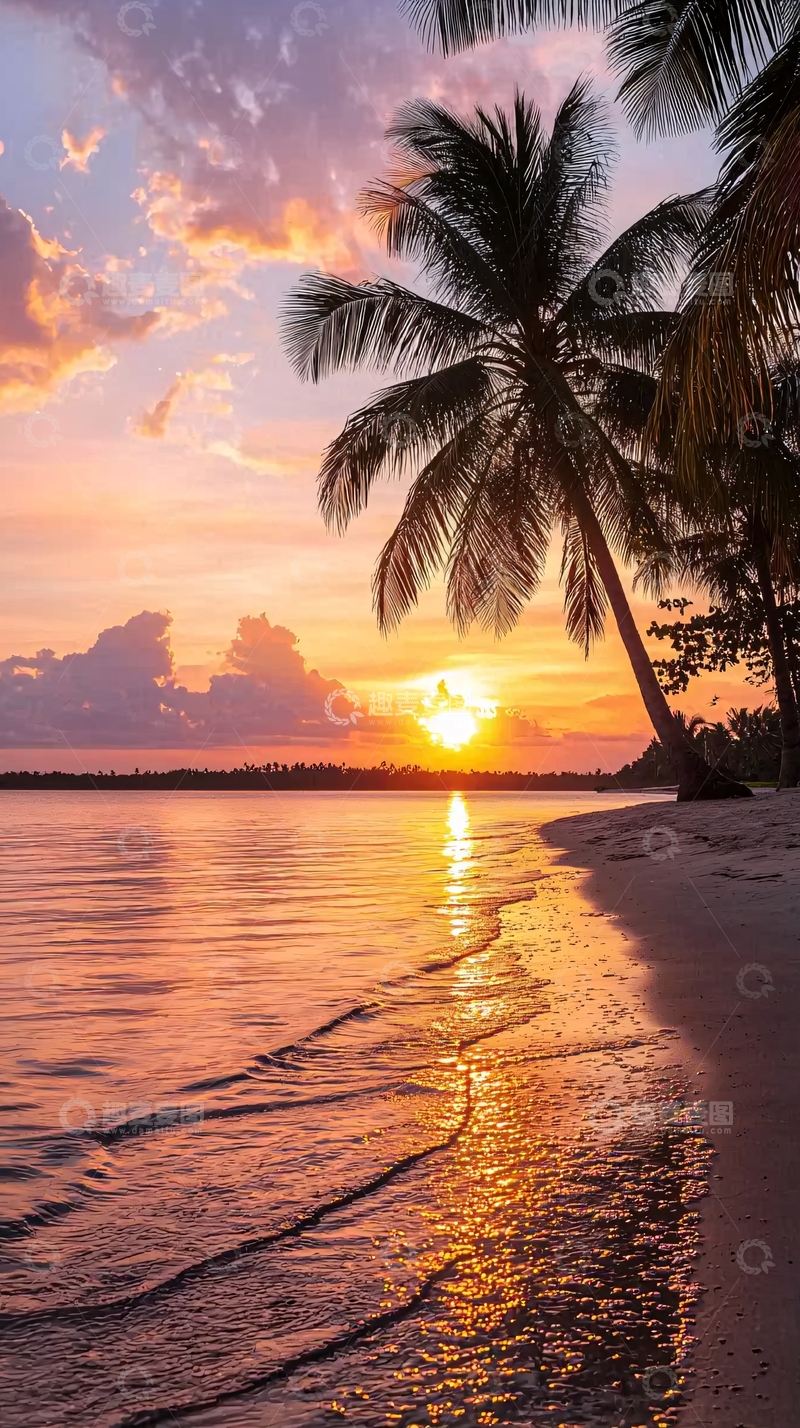 高清大图下载【趣麦麦图】日落海滩椰树风景