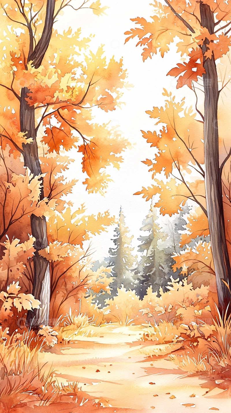 高清大图下载【趣麦麦图】秋日森林小径129