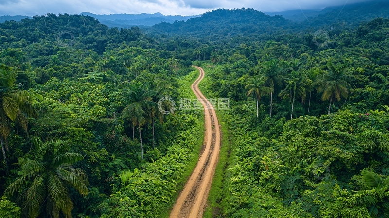 高清大图下载【趣麦麦图】森林间的自然之路航拍