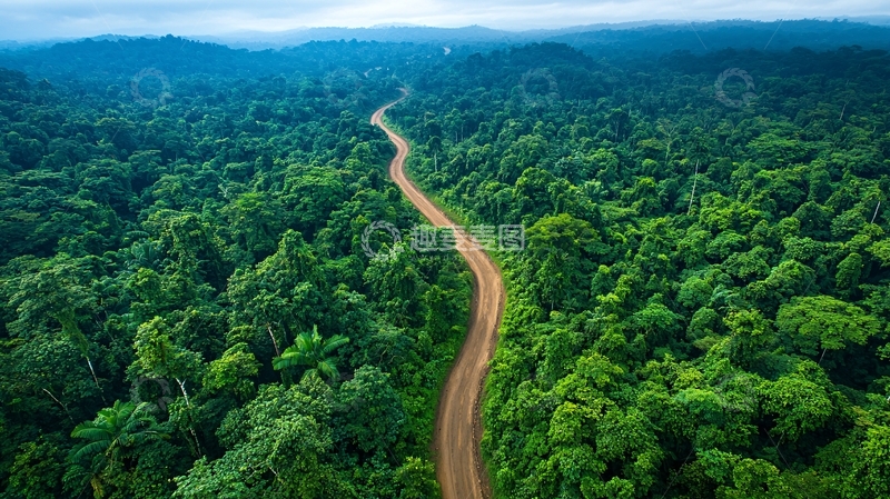 高清大图下载【趣麦麦图】森林间的自然之路航拍