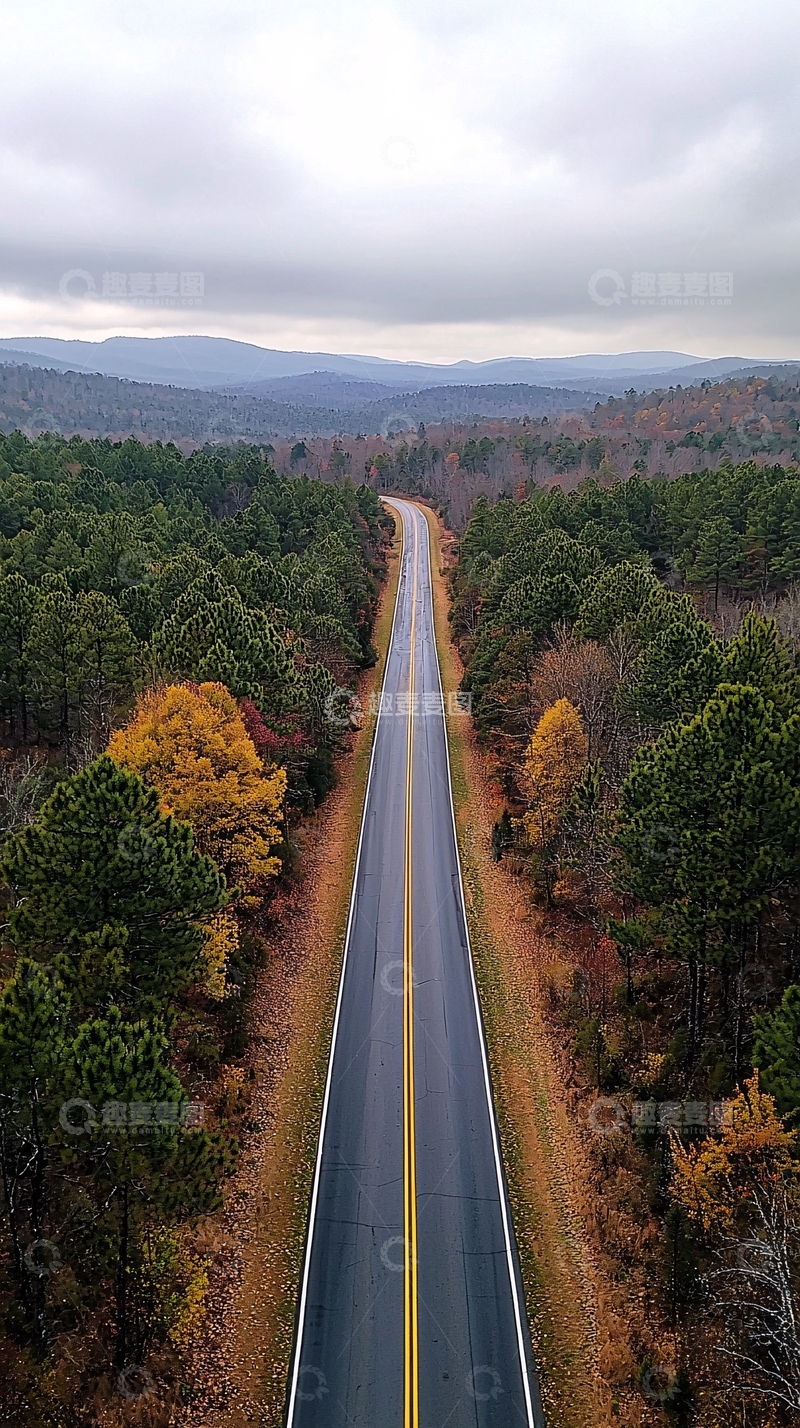 高清大图下载【趣麦麦图】穿越森林的孤独公路航拍