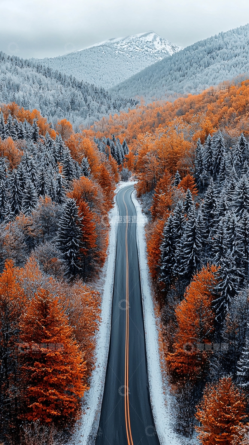 高清大图下载【趣麦麦图】晨光洒满秋色森林与雪山的公路航拍