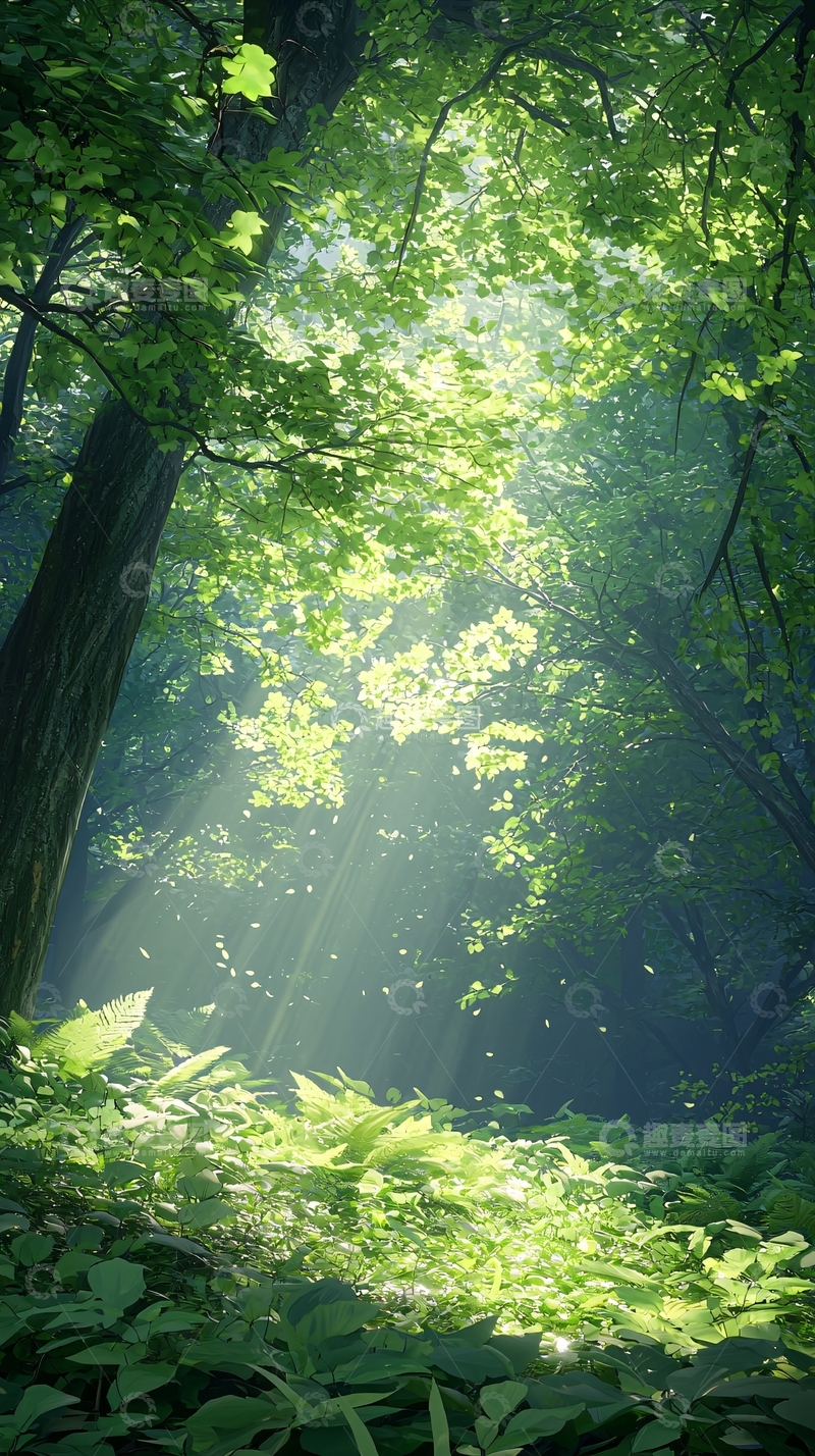 高清大图下载【趣麦麦图】阳光穿透森林树叶