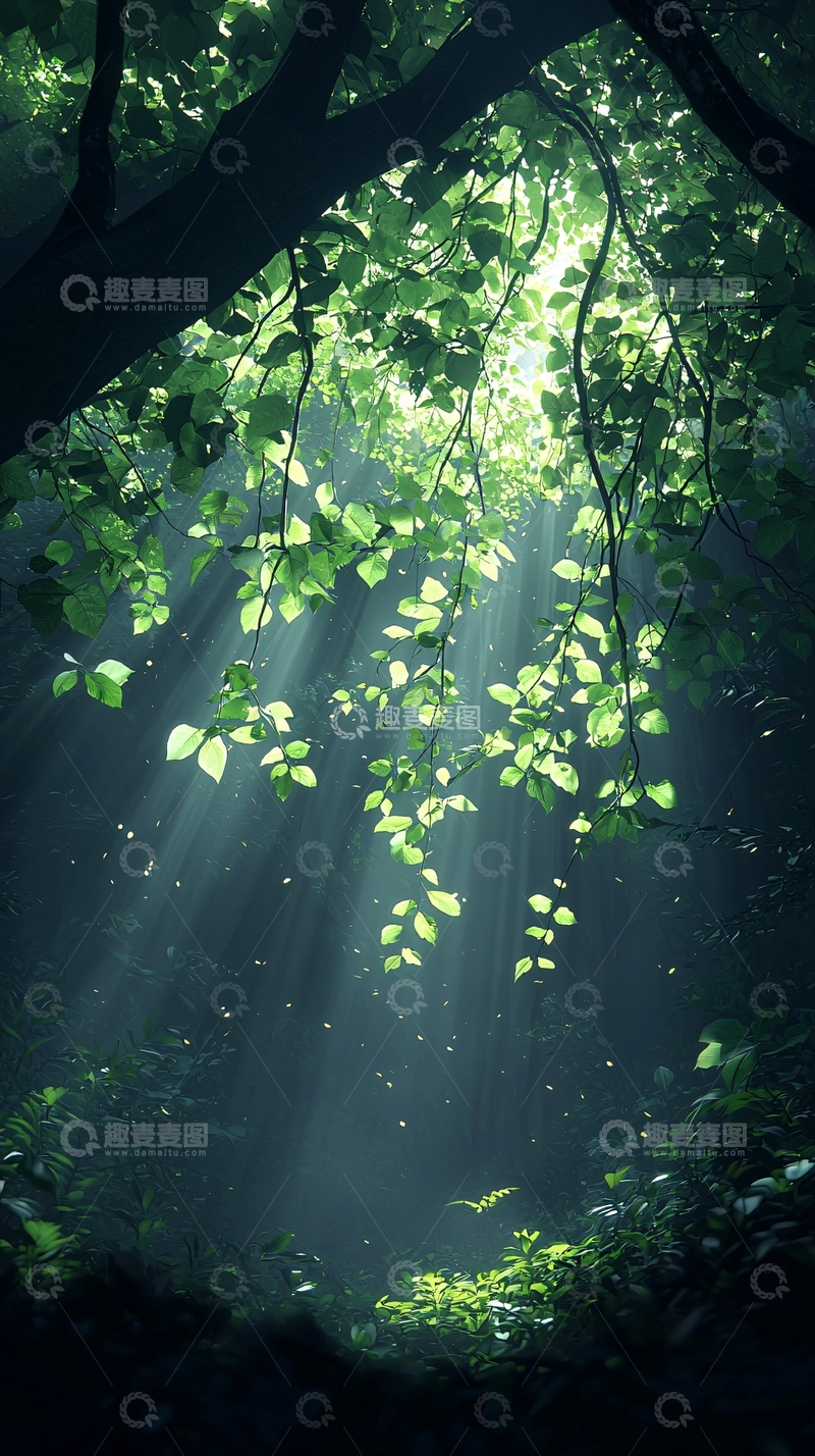 高清大图下载【趣麦麦图】森林中的阳光穿透树叶