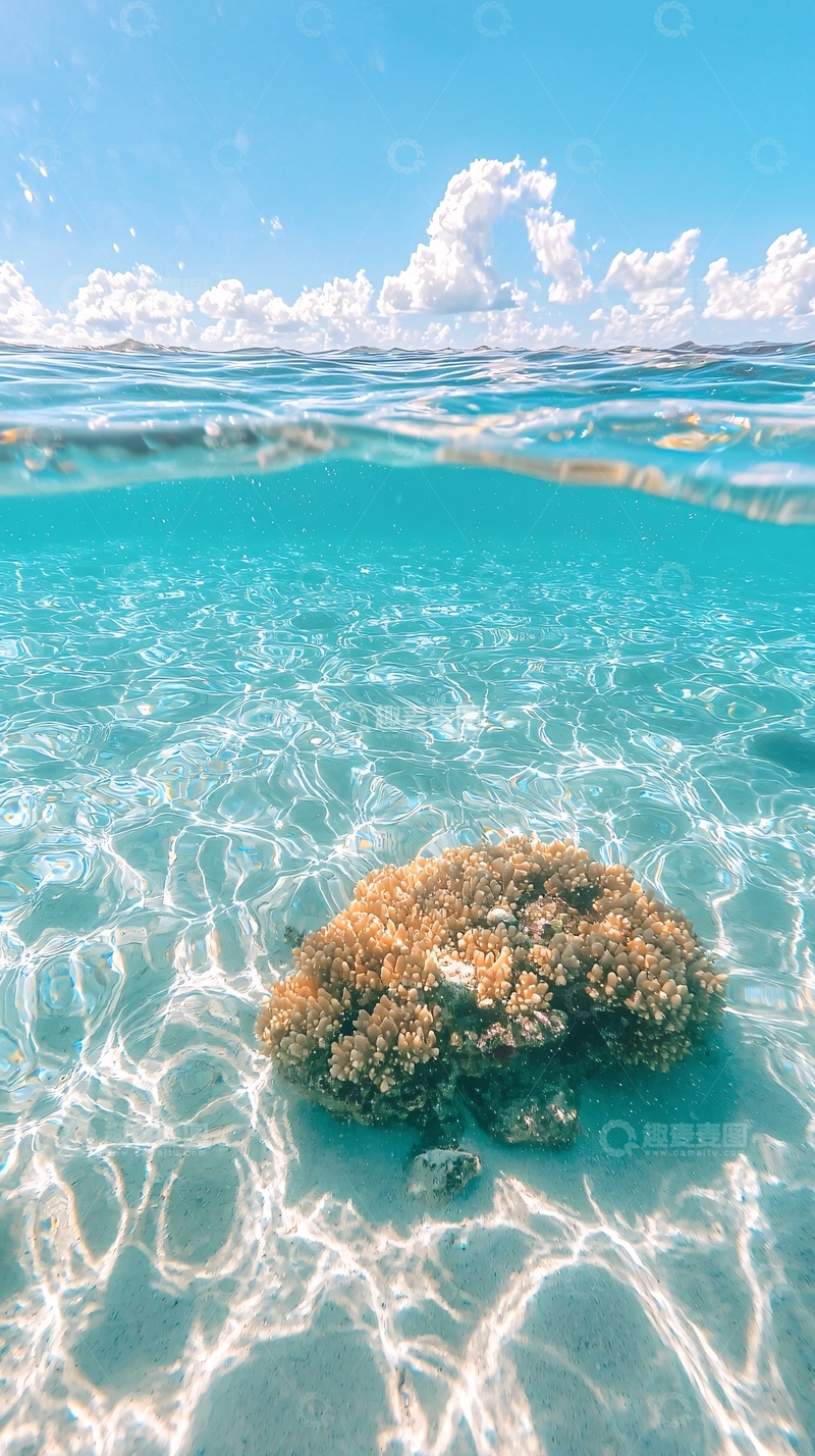 高清大图下载【趣麦麦图】清澈海水下的珊瑚礁