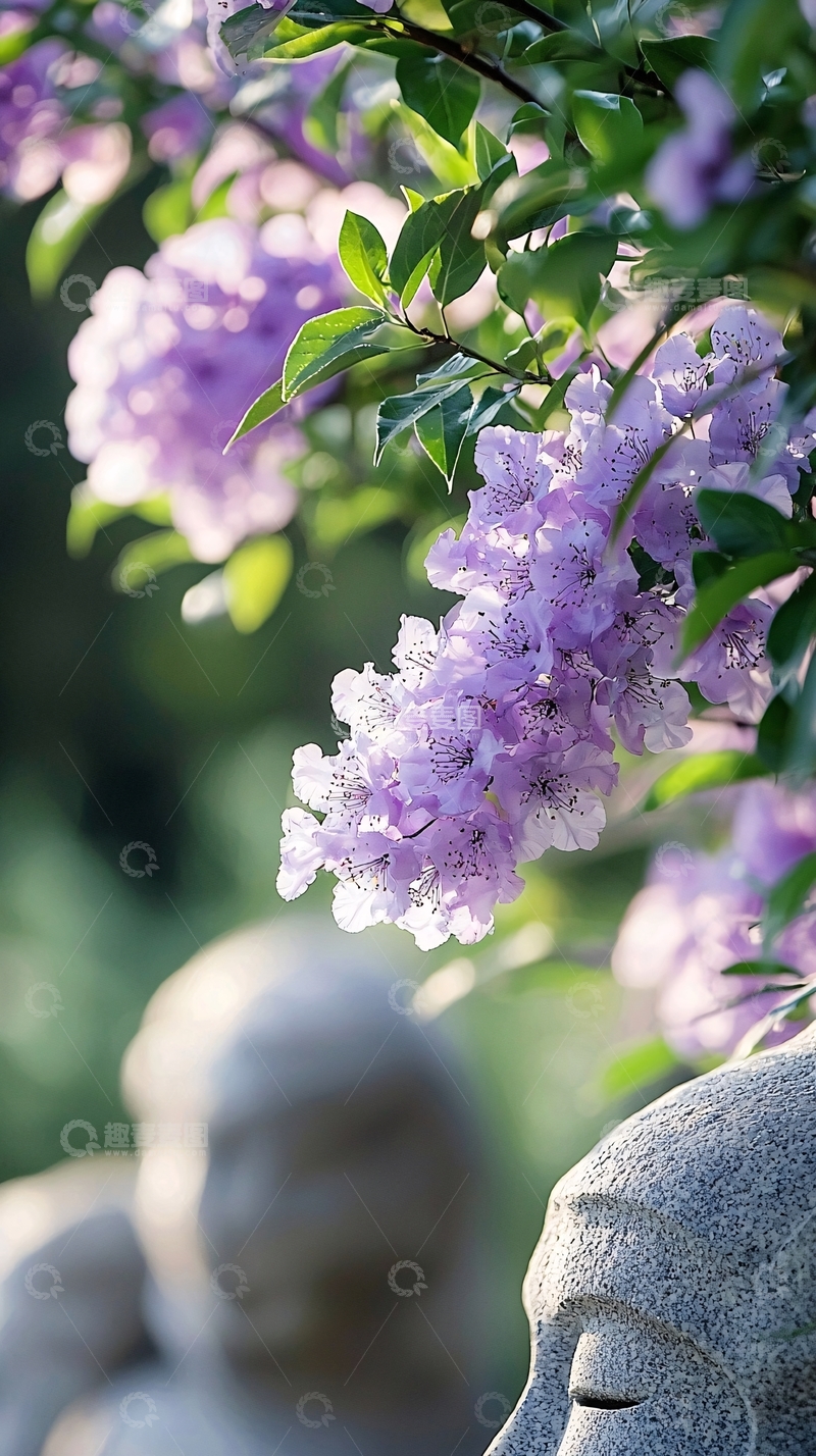 高清大图下载【趣麦麦图】紫色花丛与石雕背景