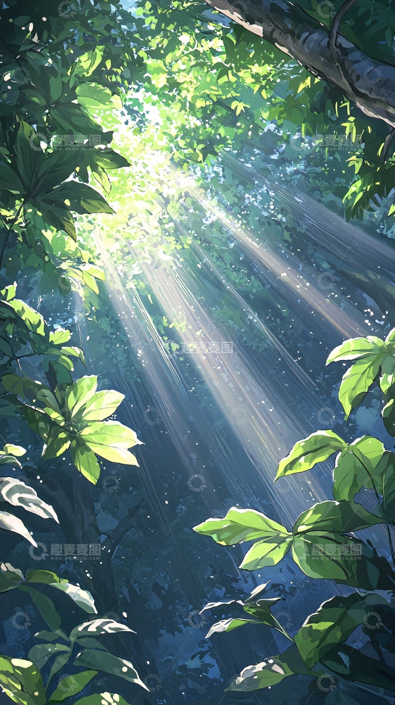 高清大图下载【趣麦麦图】森林中的阳光穿透树叶