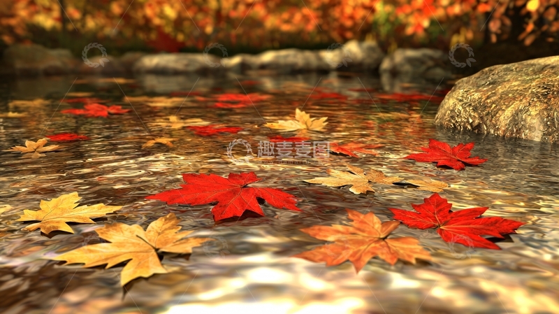 高清大图下载【趣麦麦图】秋色溪流高清图片