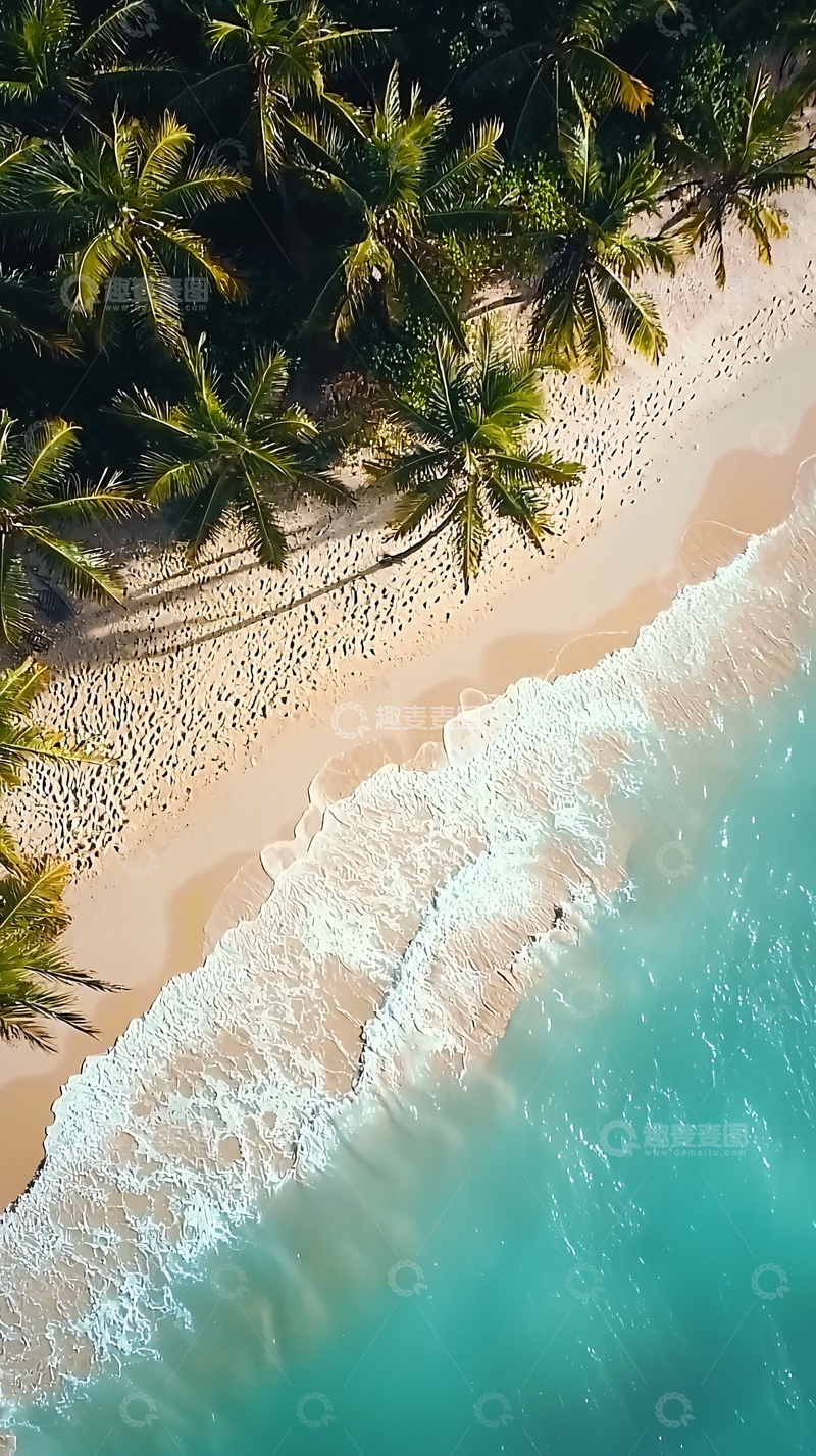 高清大图下载【趣麦麦图】海滩椰林高清图片