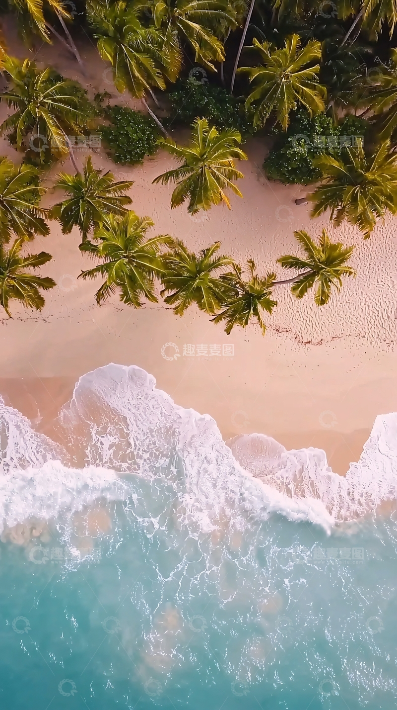 高清大图下载【趣麦麦图】海滩椰林高清图片