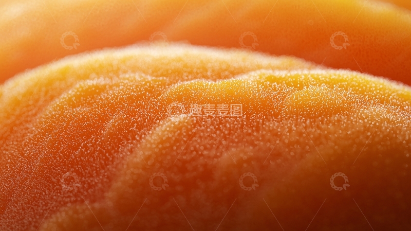 高清大图下载【趣麦麦图】杏子特写高清图片