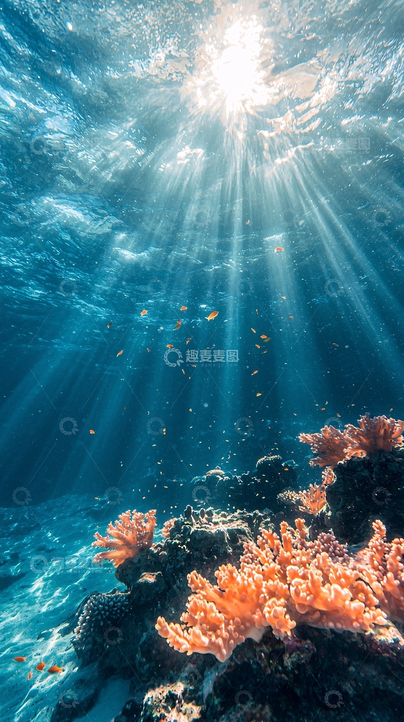 高清大图下载【趣麦麦图】海底珊瑚阳光穿透