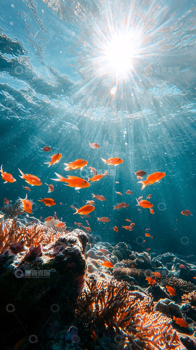 高清大图下载【趣麦麦图】海底珊瑚礁与游鱼