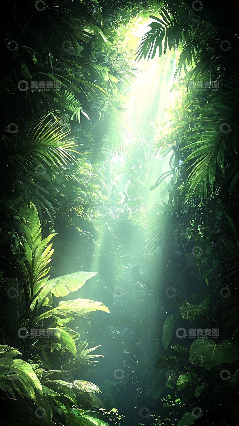 高清大图下载【趣麦麦图】热带雨林阳光穿透