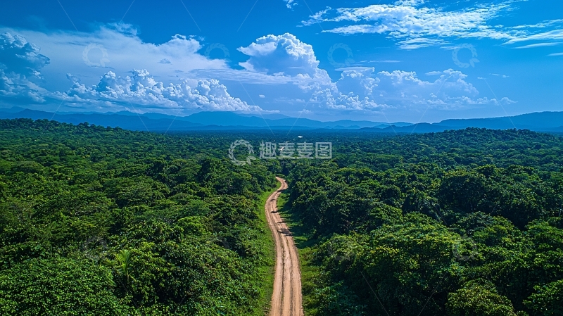 高清大图下载【趣麦麦图】蓝天白云下的森林公路航拍
