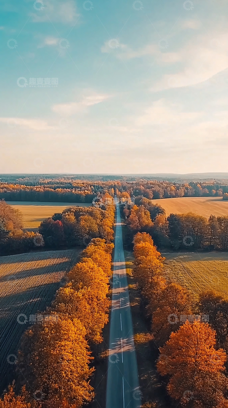 高清大图下载【趣麦麦图】阳光下的乡村道路