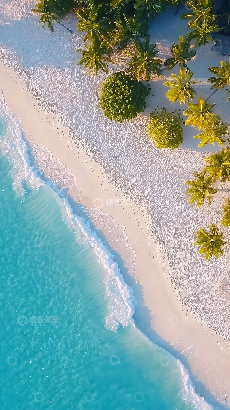 高清大图下载【趣麦麦图】加勒比海滩椰树