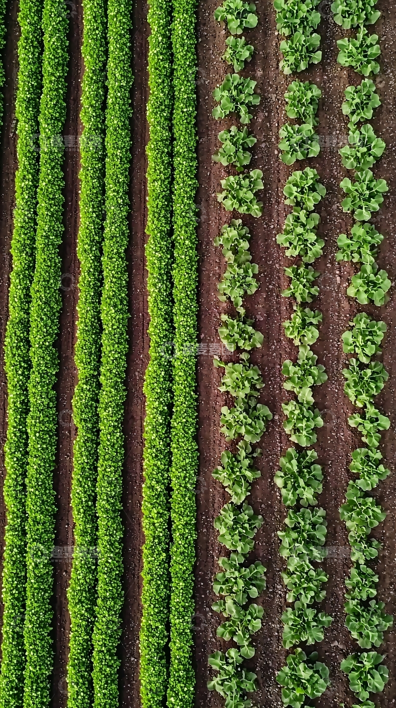 高清大图下载【趣麦麦图】生态农业高清图片